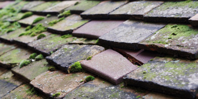 Watergate Bay roof repair costs